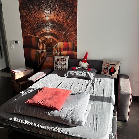 Le Riesling Colmar Centre Charmant Appartement Avec Terrasse Et Parking Gratuit Εξωτερικό φωτογραφία