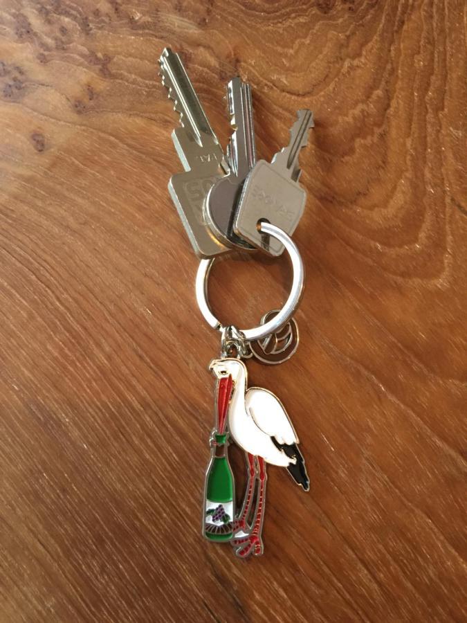 Le Riesling Colmar Centre Charmant Appartement Avec Terrasse Et Parking Gratuit Εξωτερικό φωτογραφία
